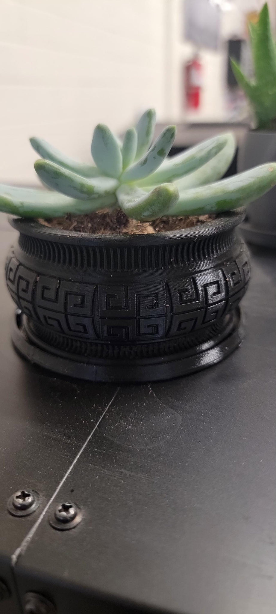 Succulent planter (3D Printer)