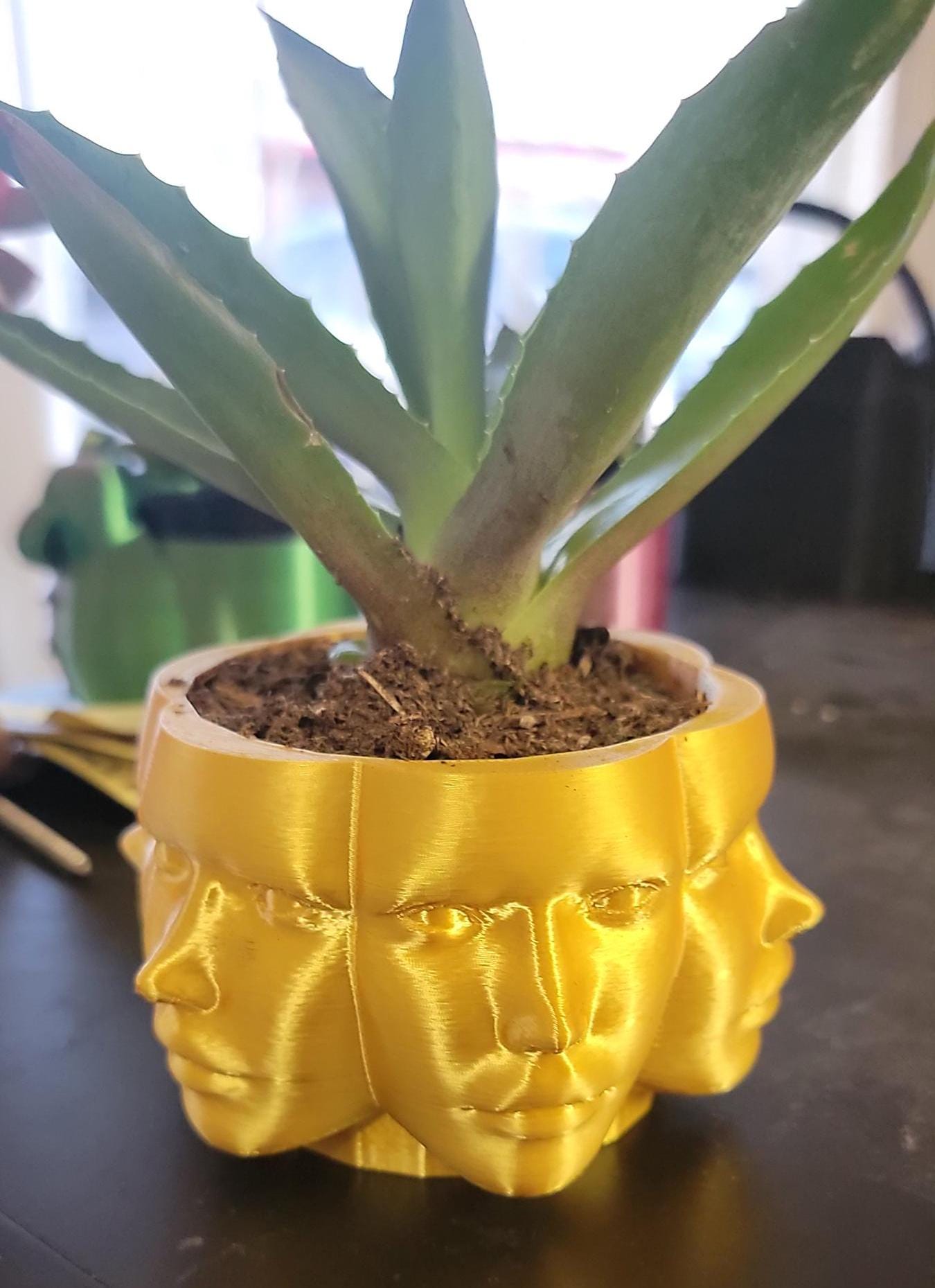 Faces Planter (3D Printer)