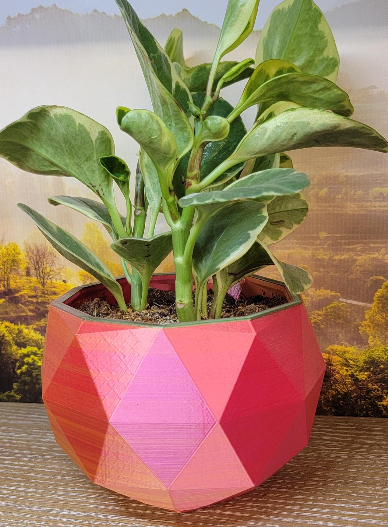 Two tone  stylish Planter (3D Printer)