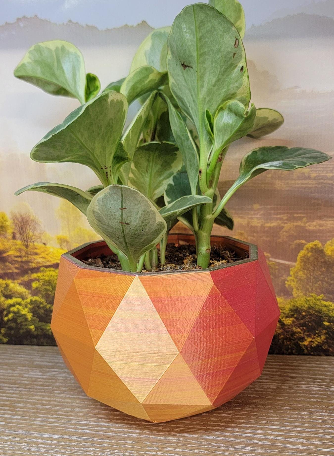 Two tone  stylish Planter (3D Printer)