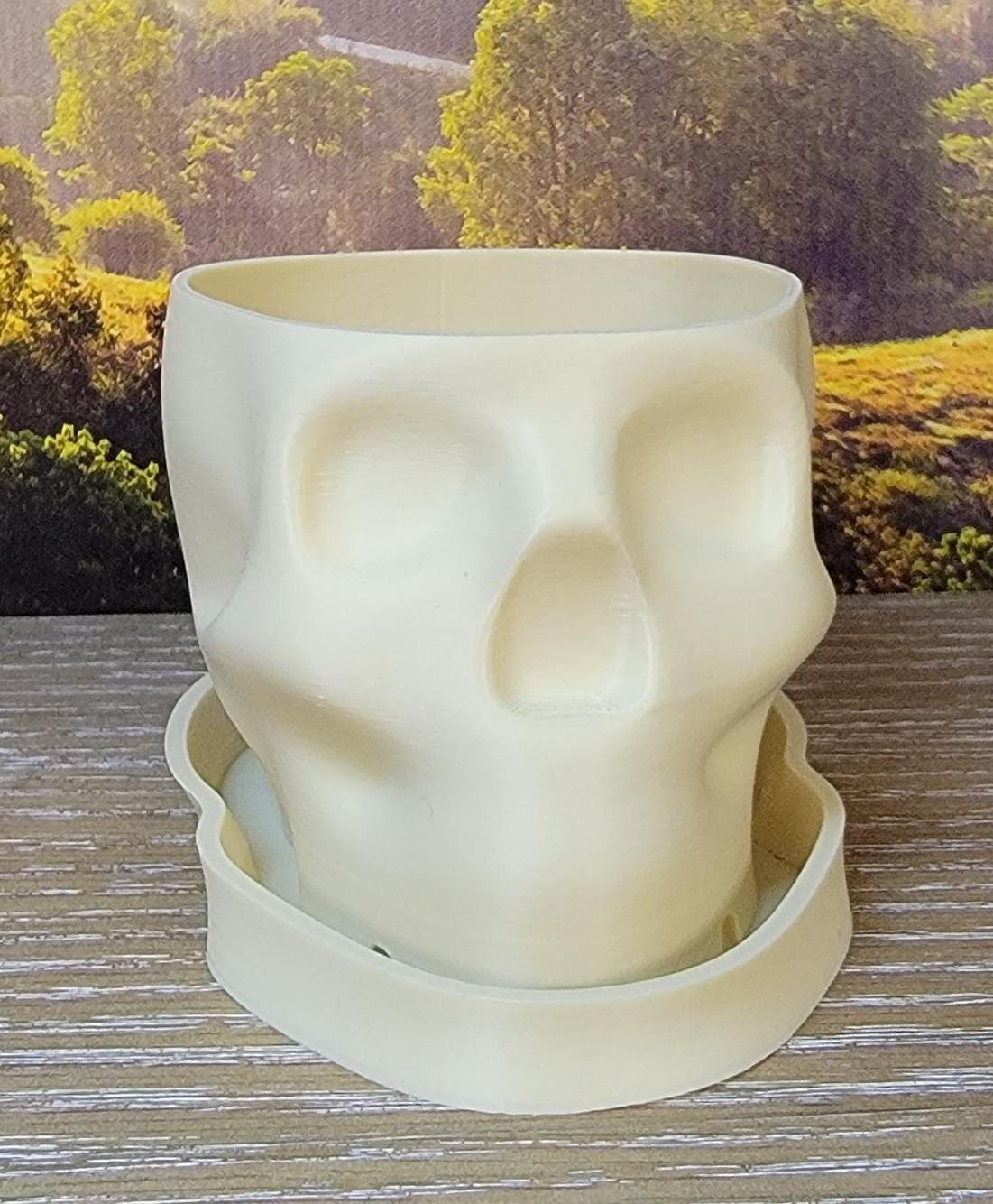 Biodegradable Skull Planter