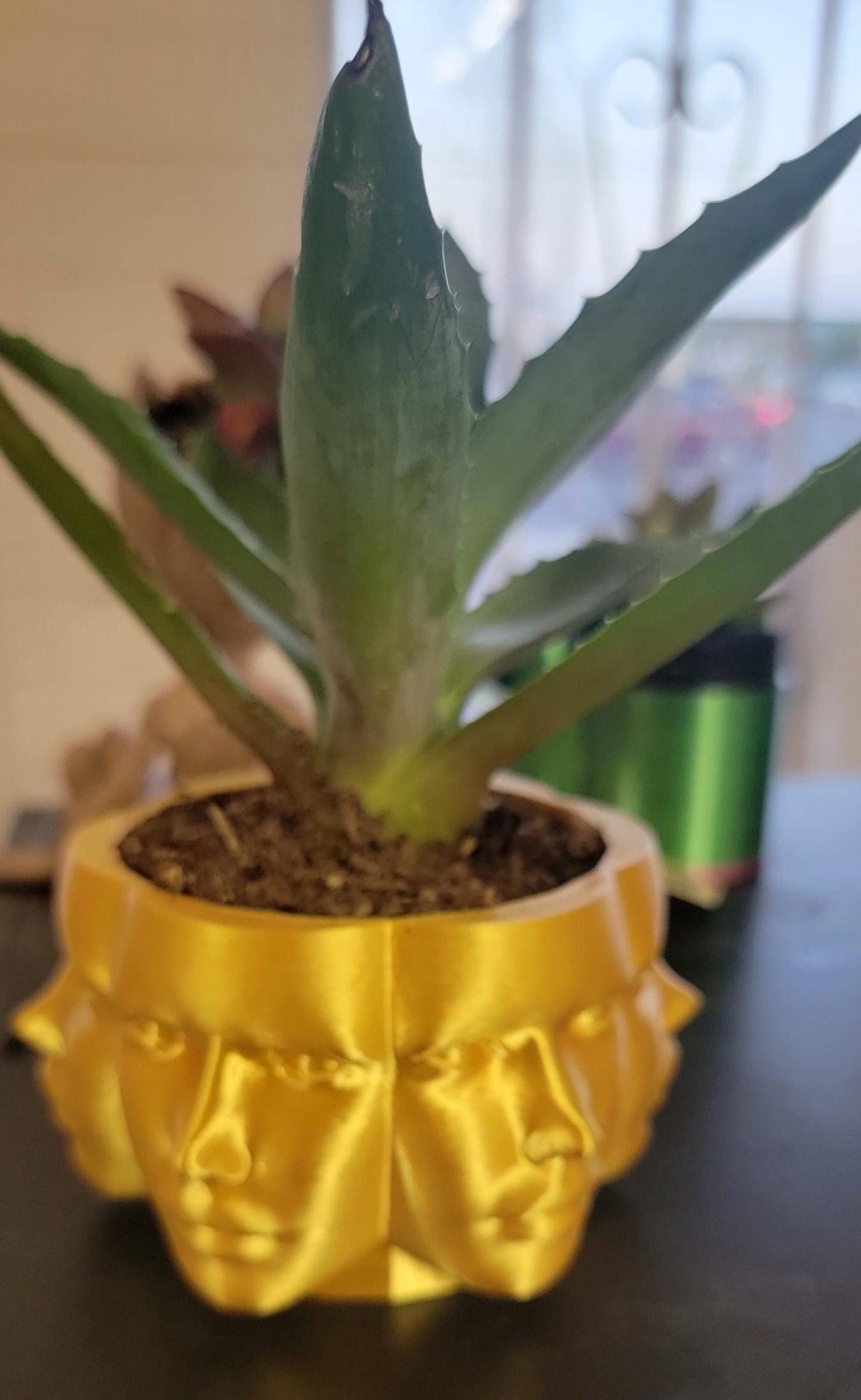 Faces Planter (3D Printer)