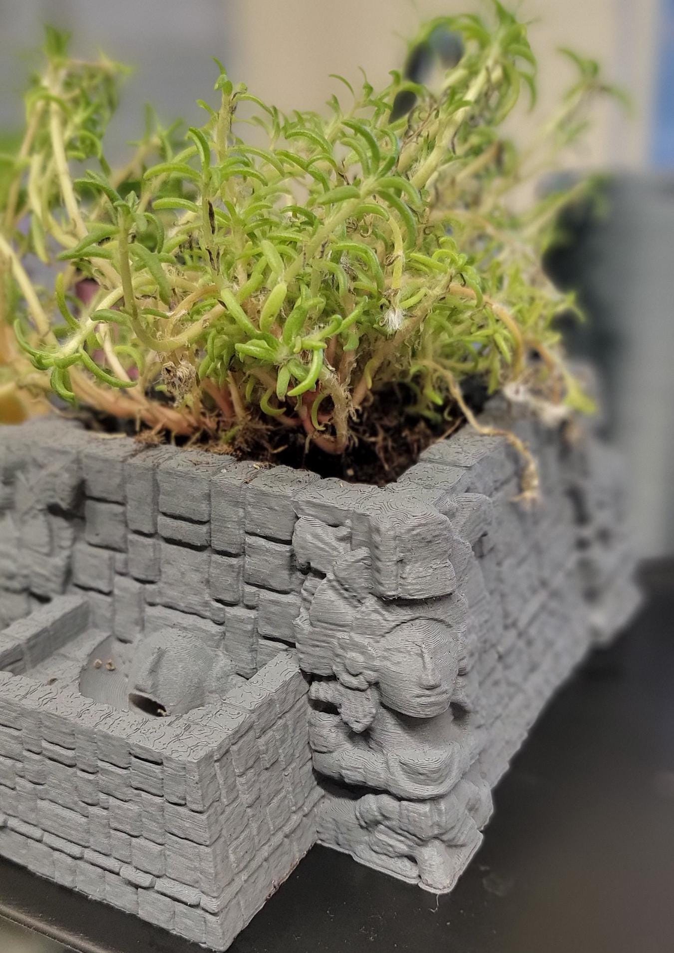 Self watering ancient temple Planter (3D Printer)