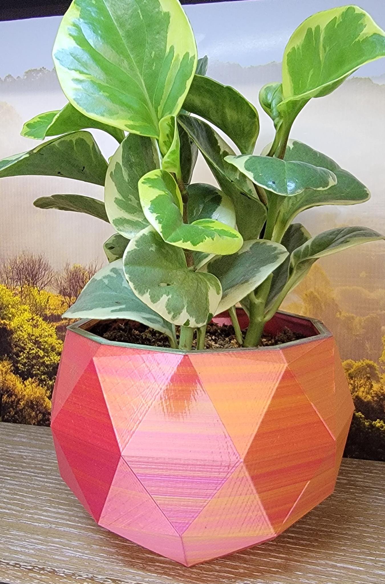 Two tone  stylish Planter (3D Printer)