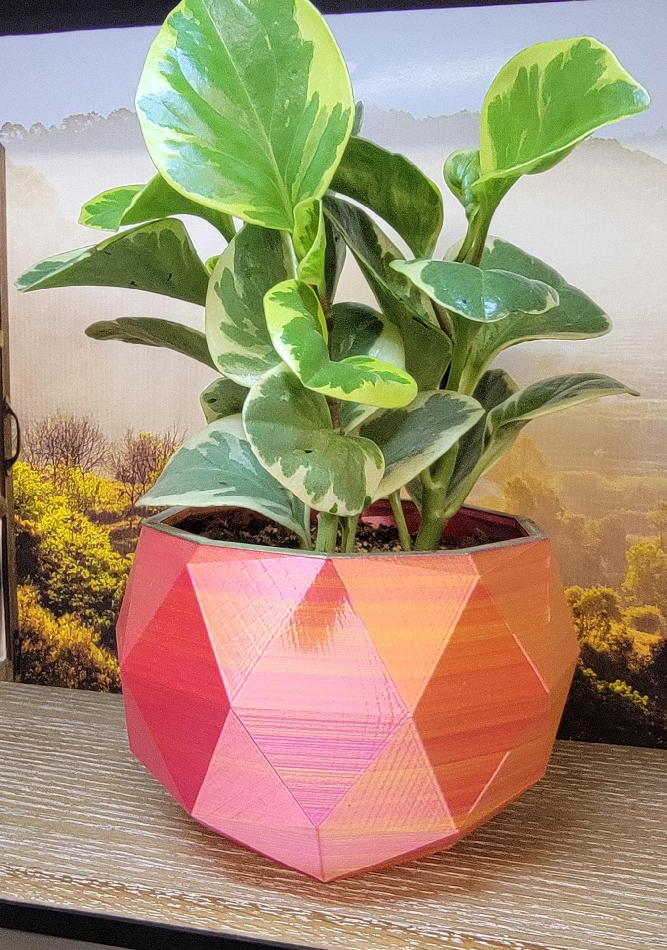 Two tone  stylish Planter (3D Printer)