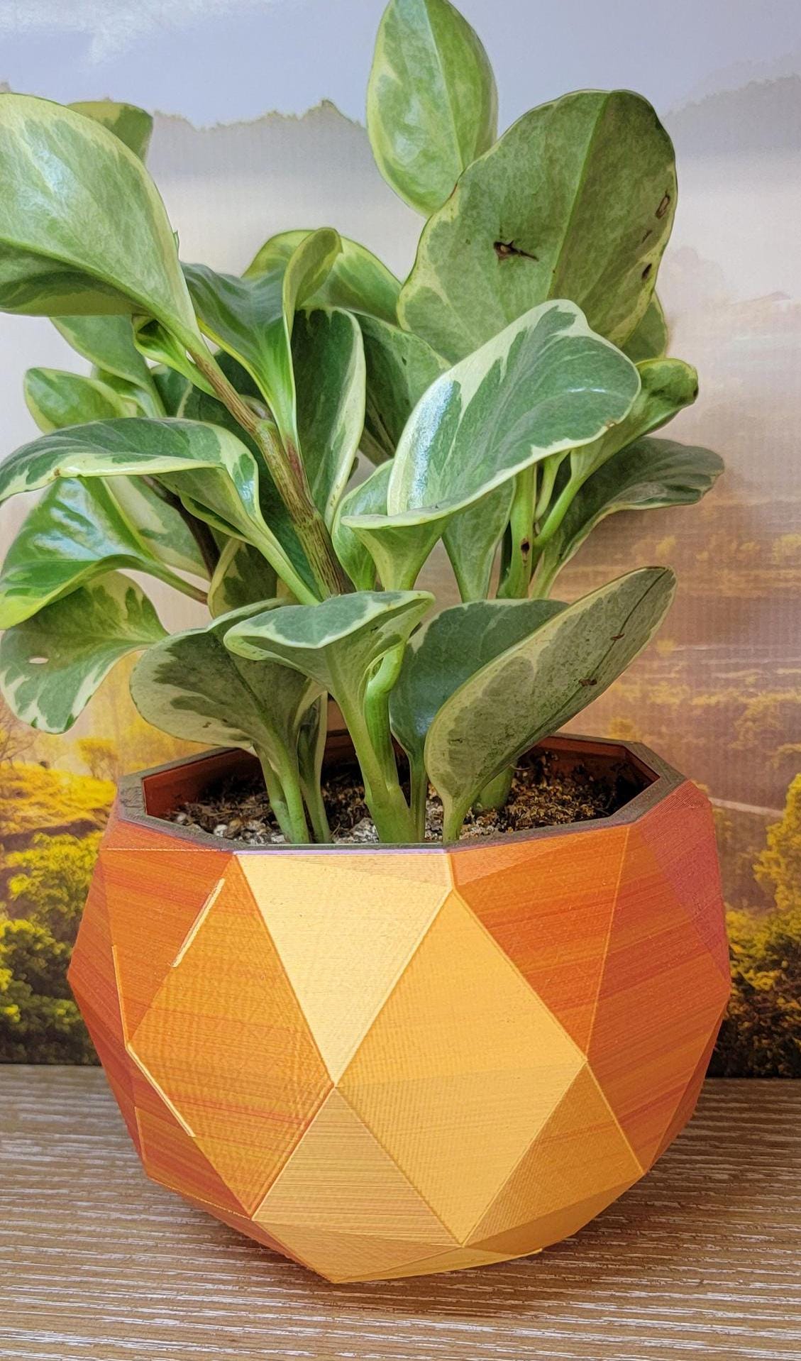 Two tone  stylish Planter (3D Printer)