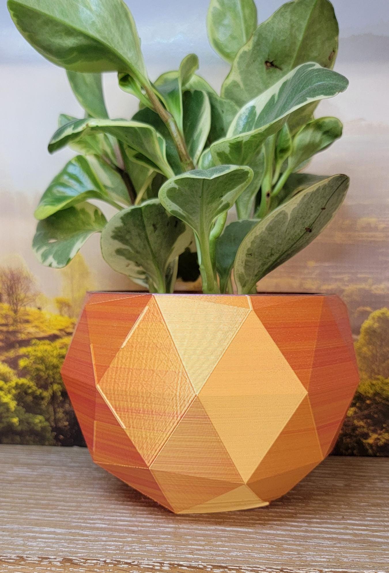 Two tone  stylish Planter (3D Printer)