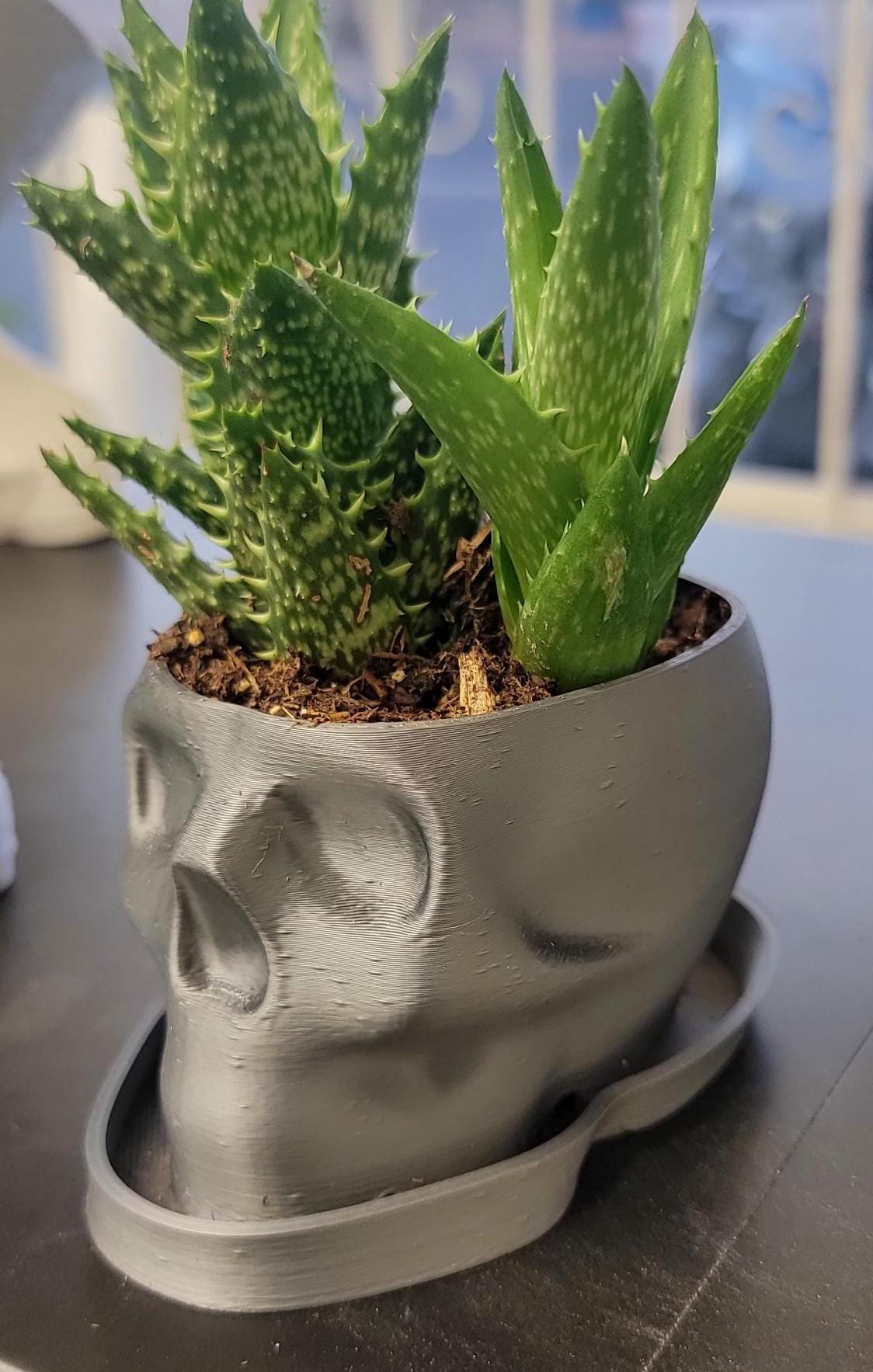 Biodegradable Skull Planter