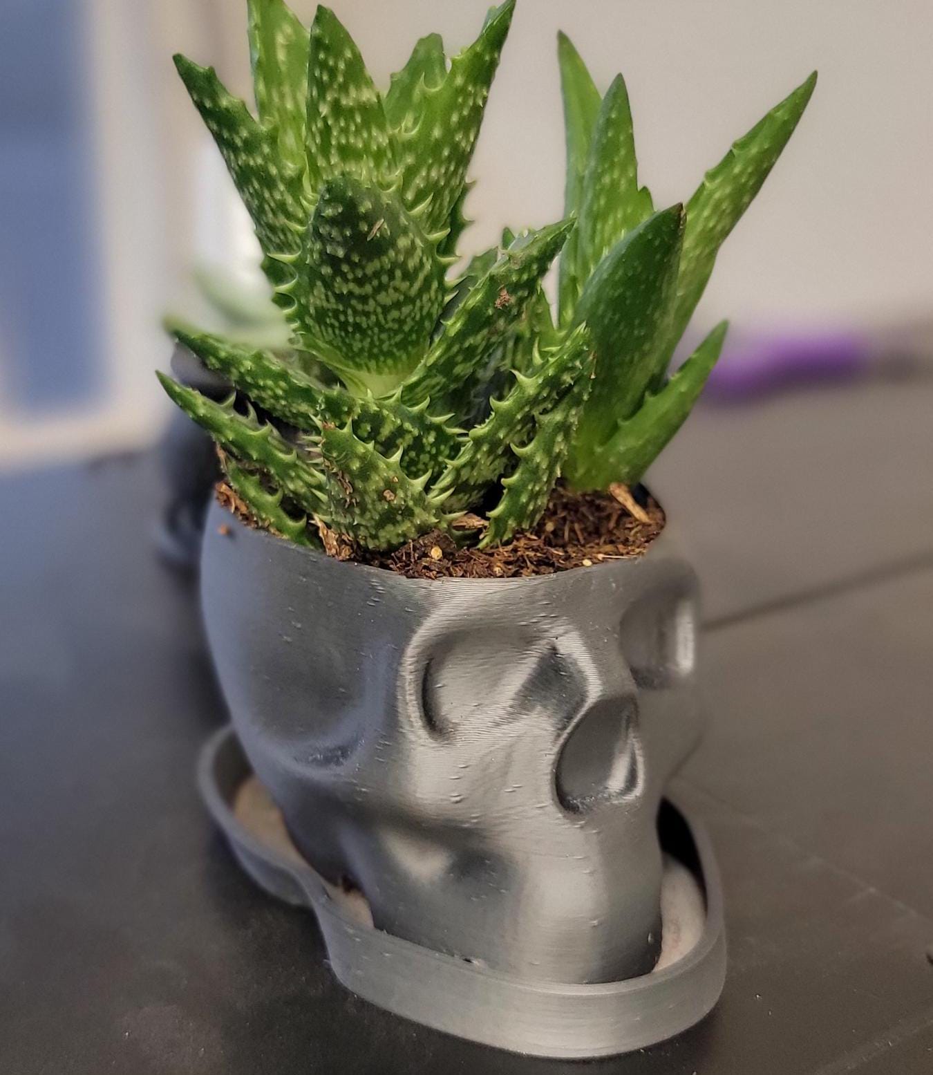 Biodegradable Skull Planter