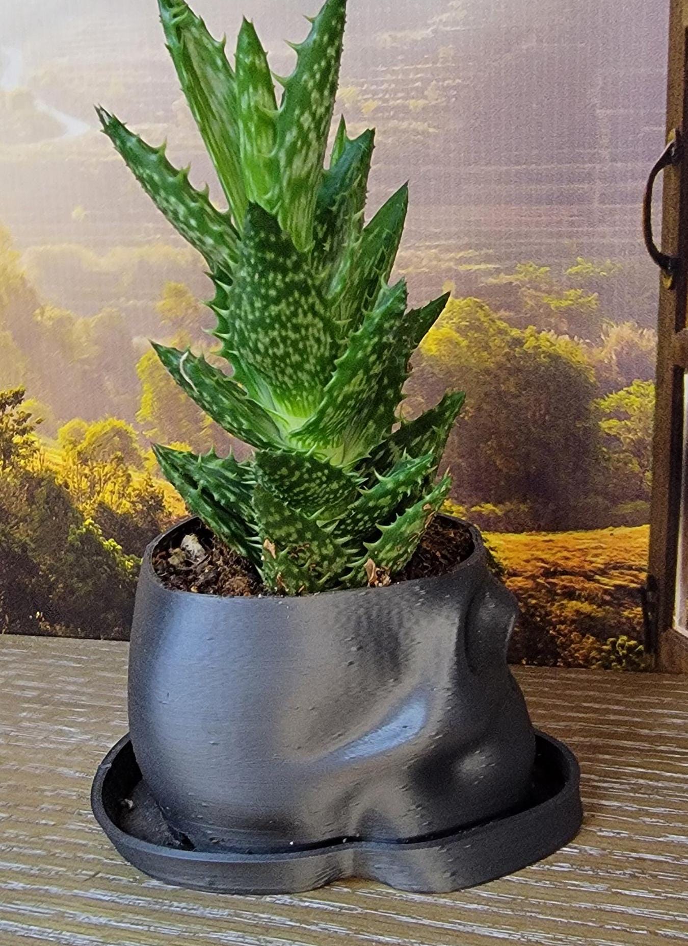 Biodegradable Skull Planter