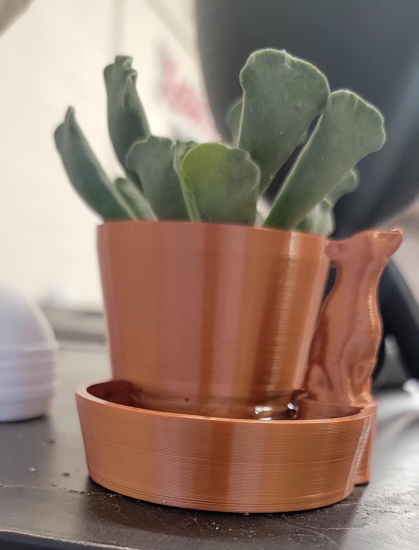 Self Watering bear Planter copper