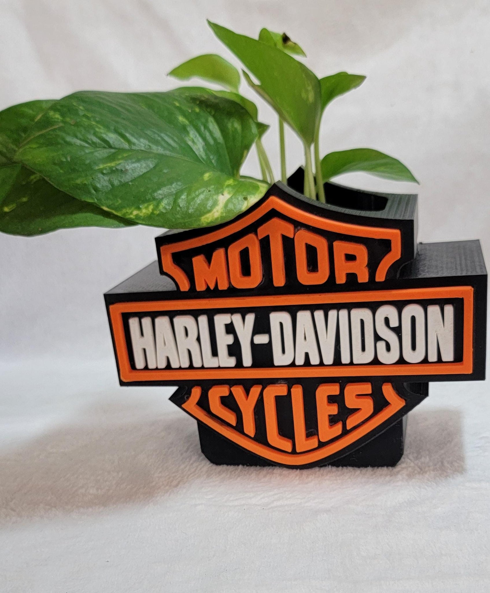 Harley Planter / Succulent pot